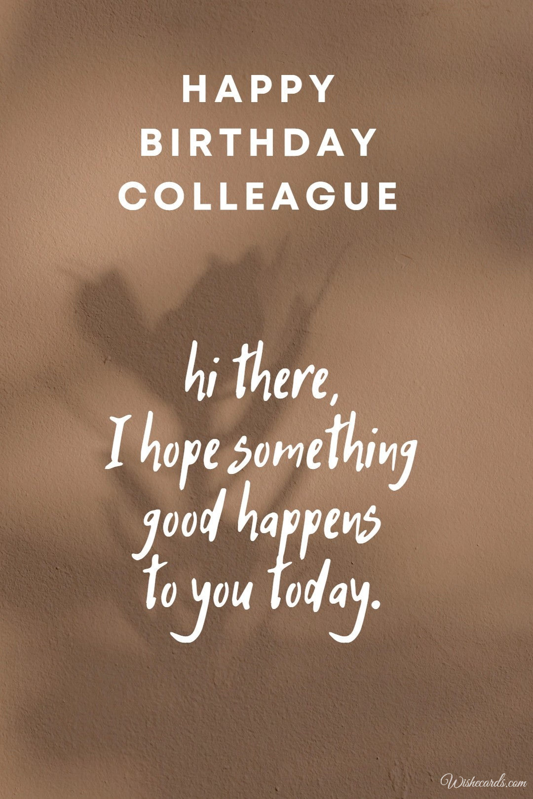 Cute Happy Birthday Card For a Female Colleague