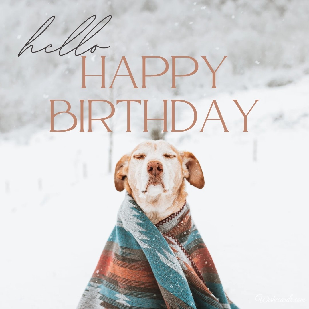 Cute Happy Birthday Card For Woman With Dog