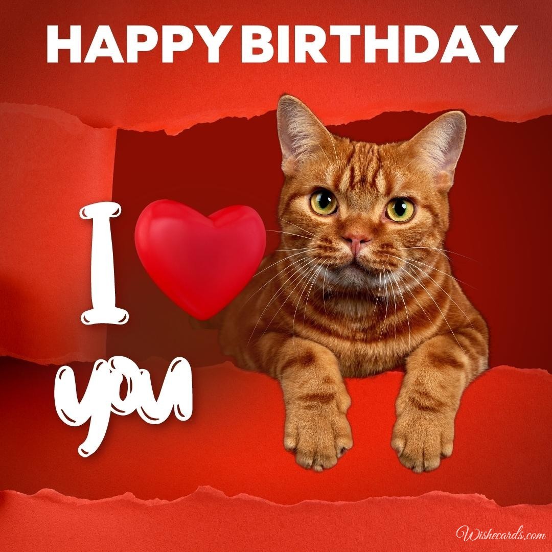 Cute Happy Birthday Picture For Woman With Cat