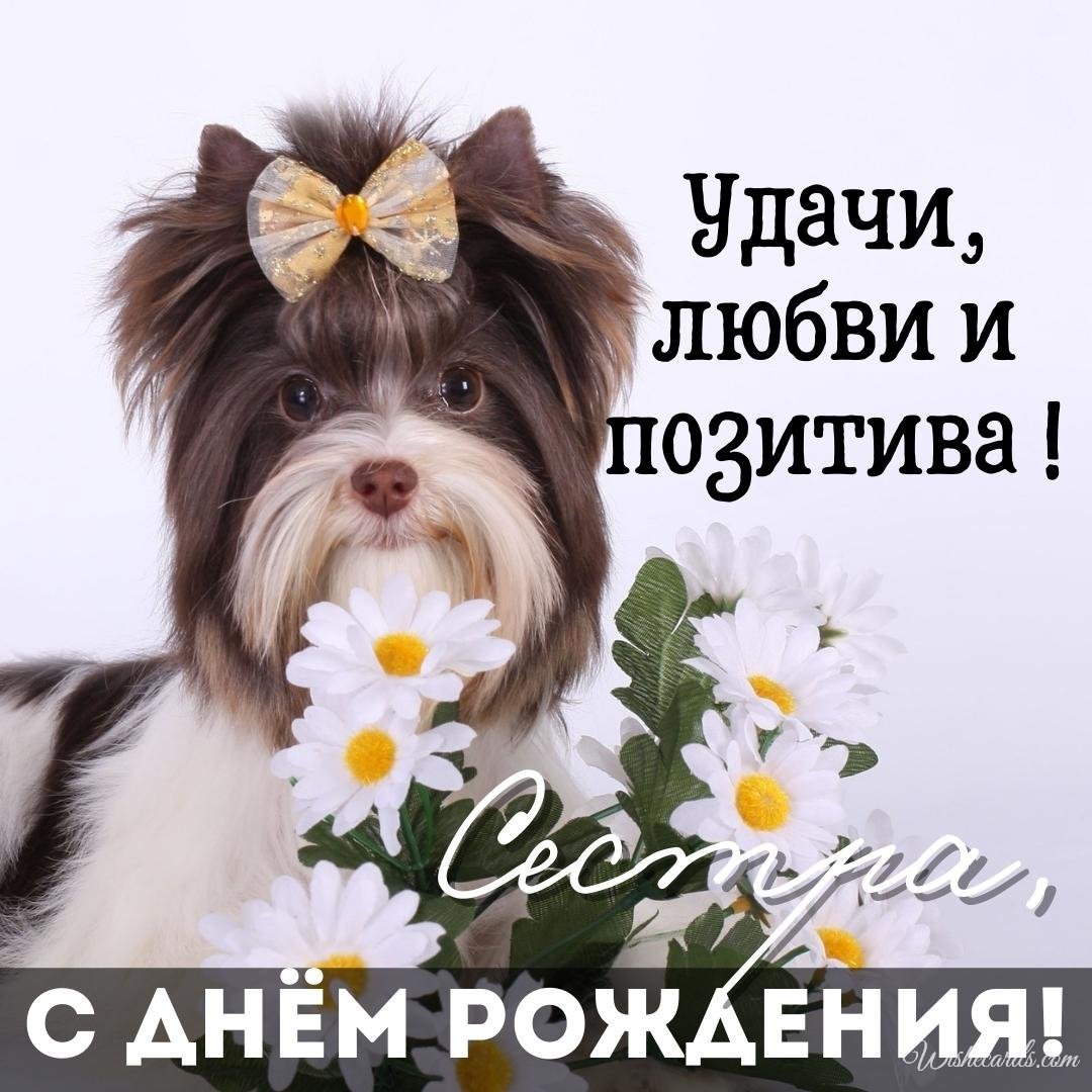 Cute Russian Birthday Ecard For Sister