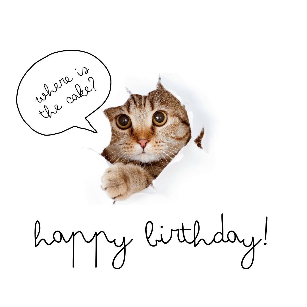 Free Birthday Card with Cat