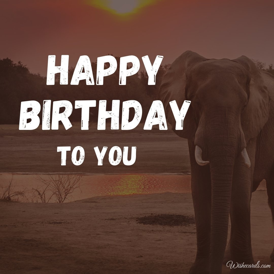 Free Birthday Ecard With Elephant
