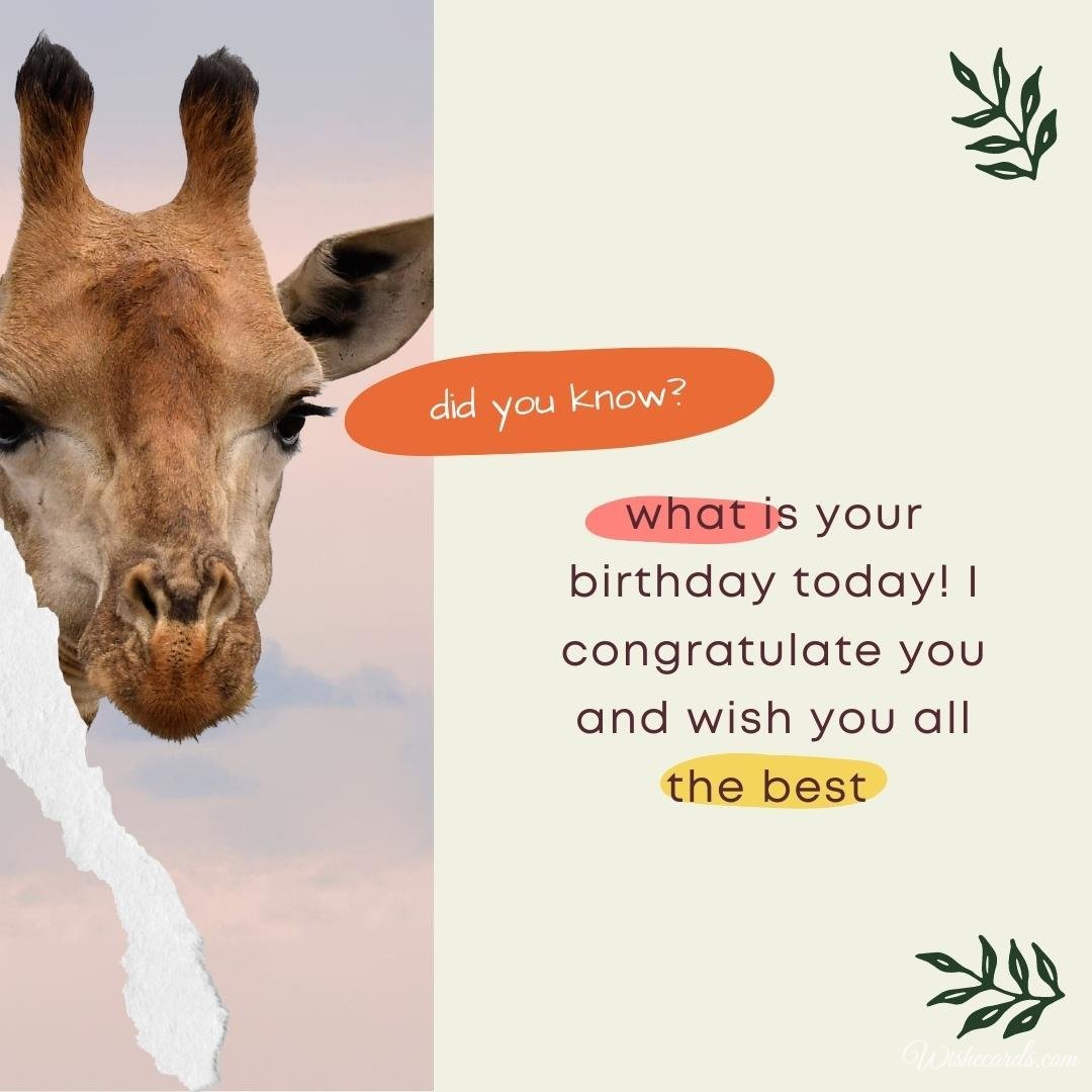 Free Birthday Ecard With Giraffe