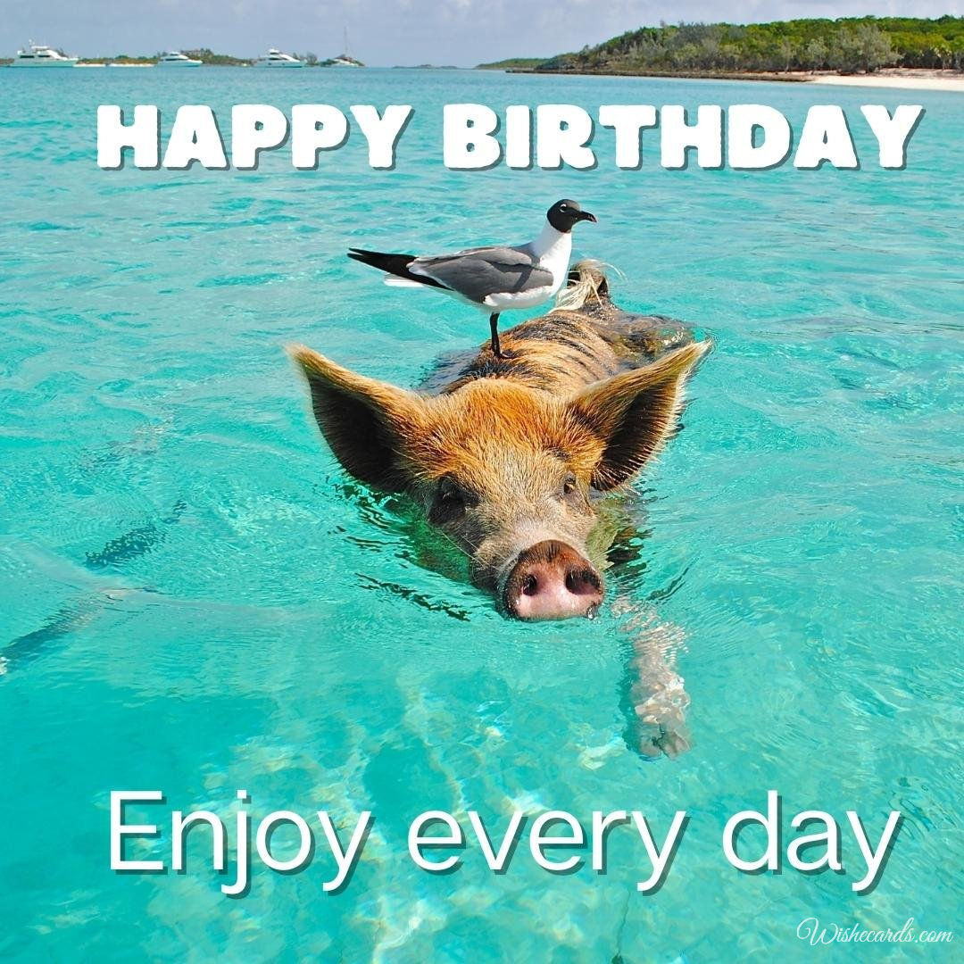 Free Birthday Ecard with Pig