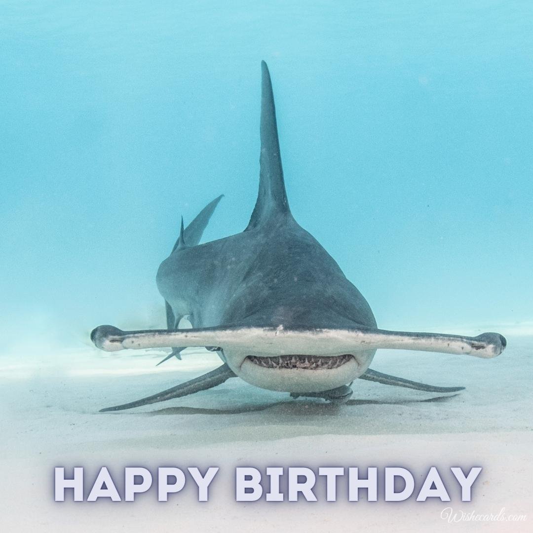 Free Birthday Ecard With Shark