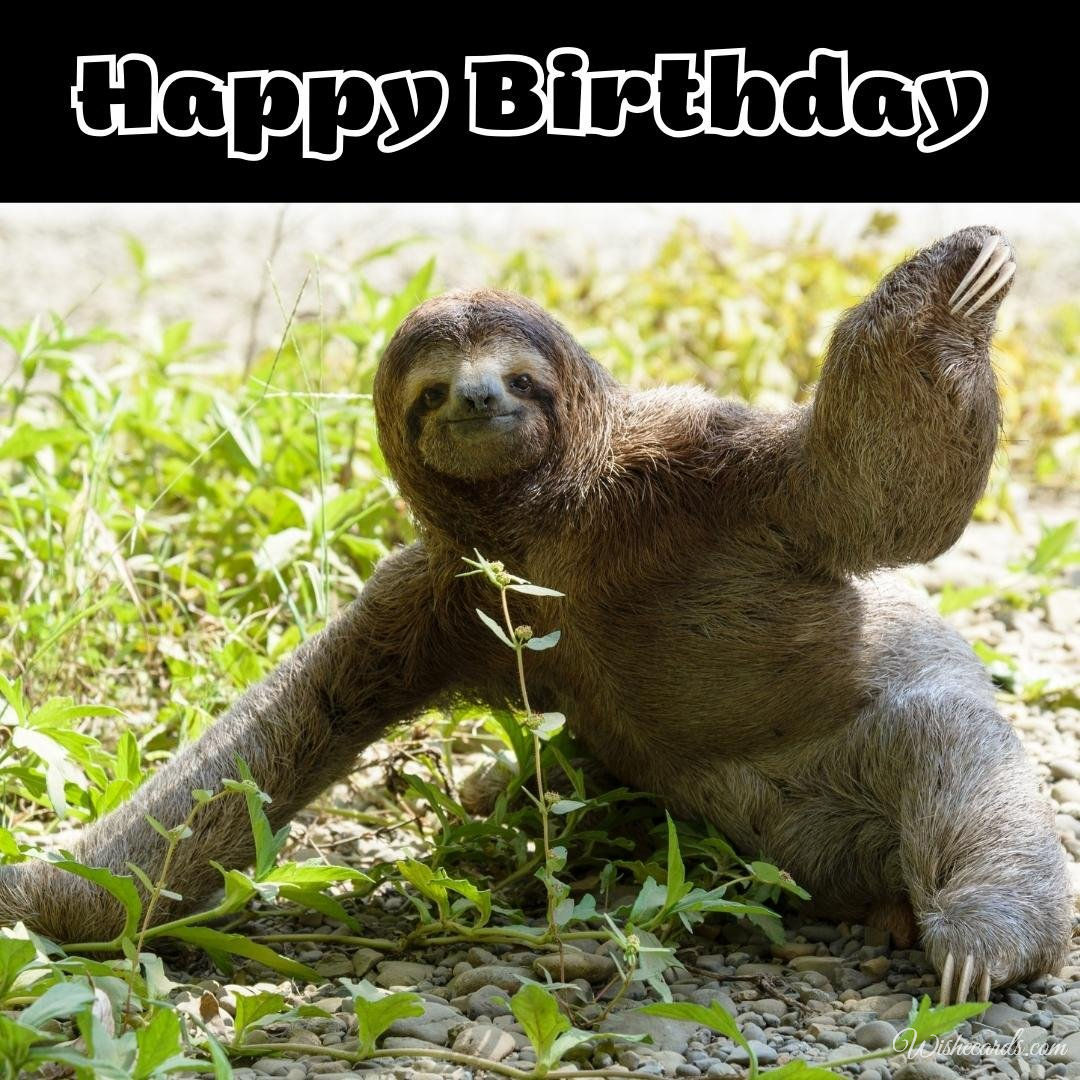 Free Birthday Ecard with Sloth