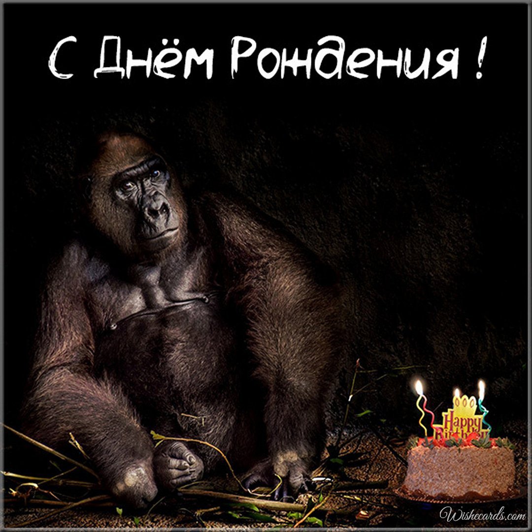 Virtual Funny Russian Birthday Image
