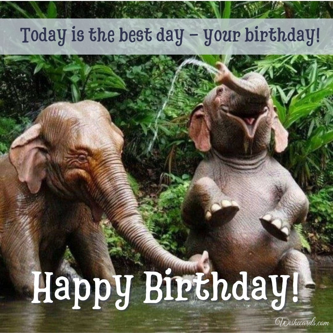 Virtual Funny Birthday Card