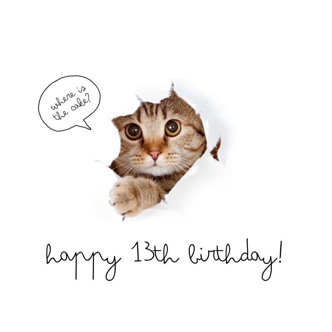 Funny 13th Birthday Wish Ecard