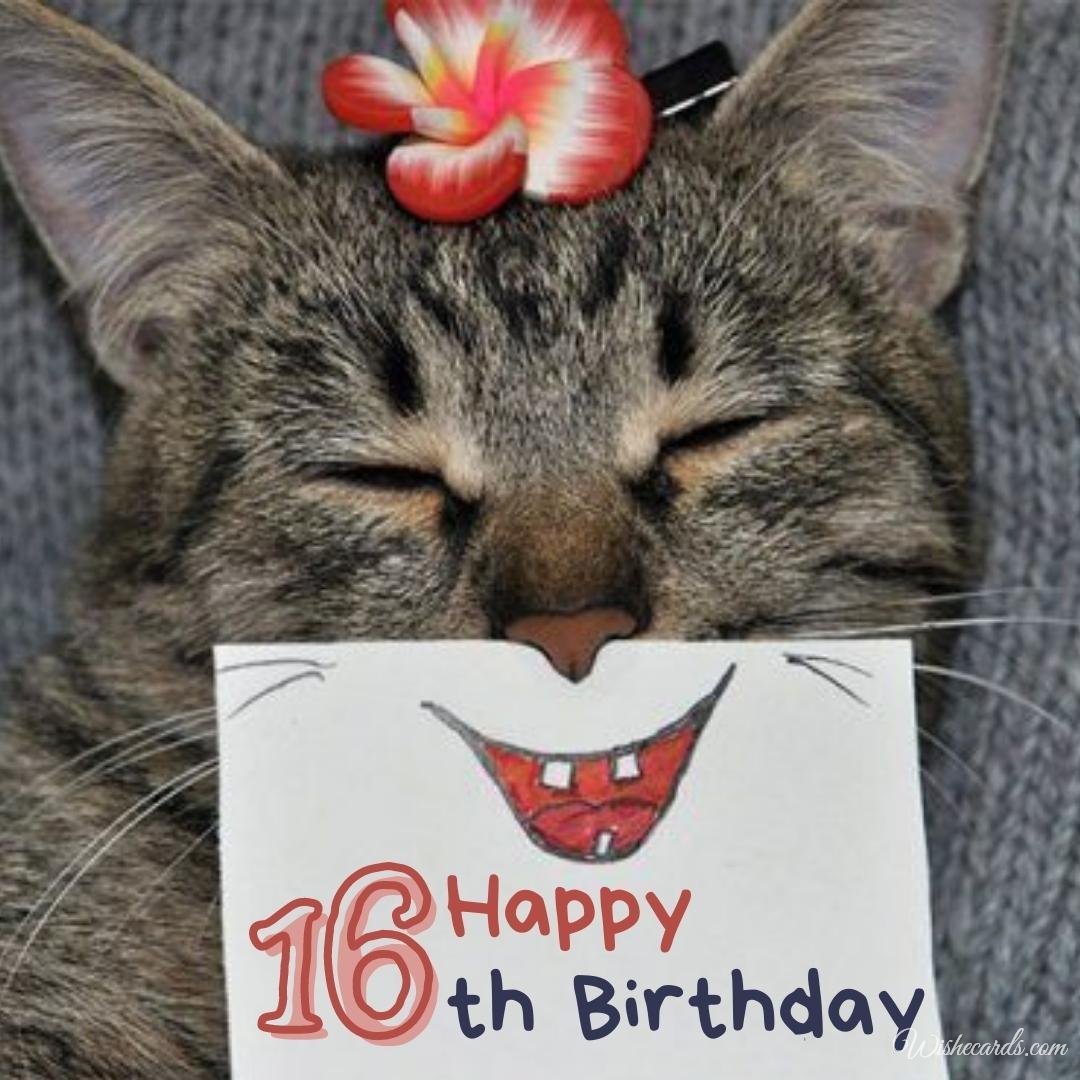 Funny 16th Birthday Wish Ecard