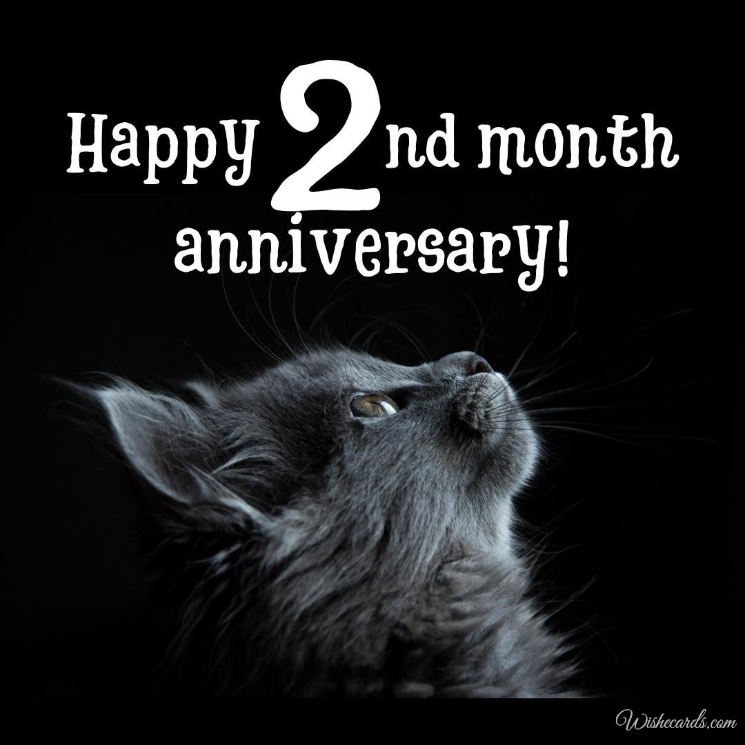 Funny 2 Month Anniversary Ecard With Text