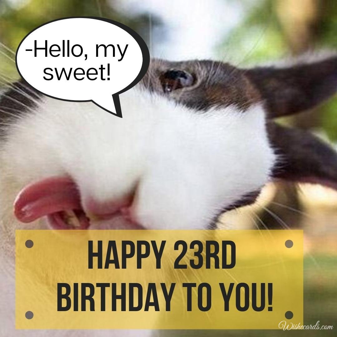 Funny 23rd Birthday Wish Ecard