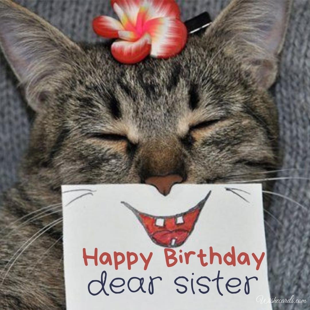 Funny Birthday Card for Sister