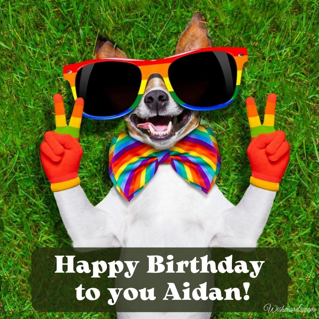 Funny Birthday Ecard For Aidan