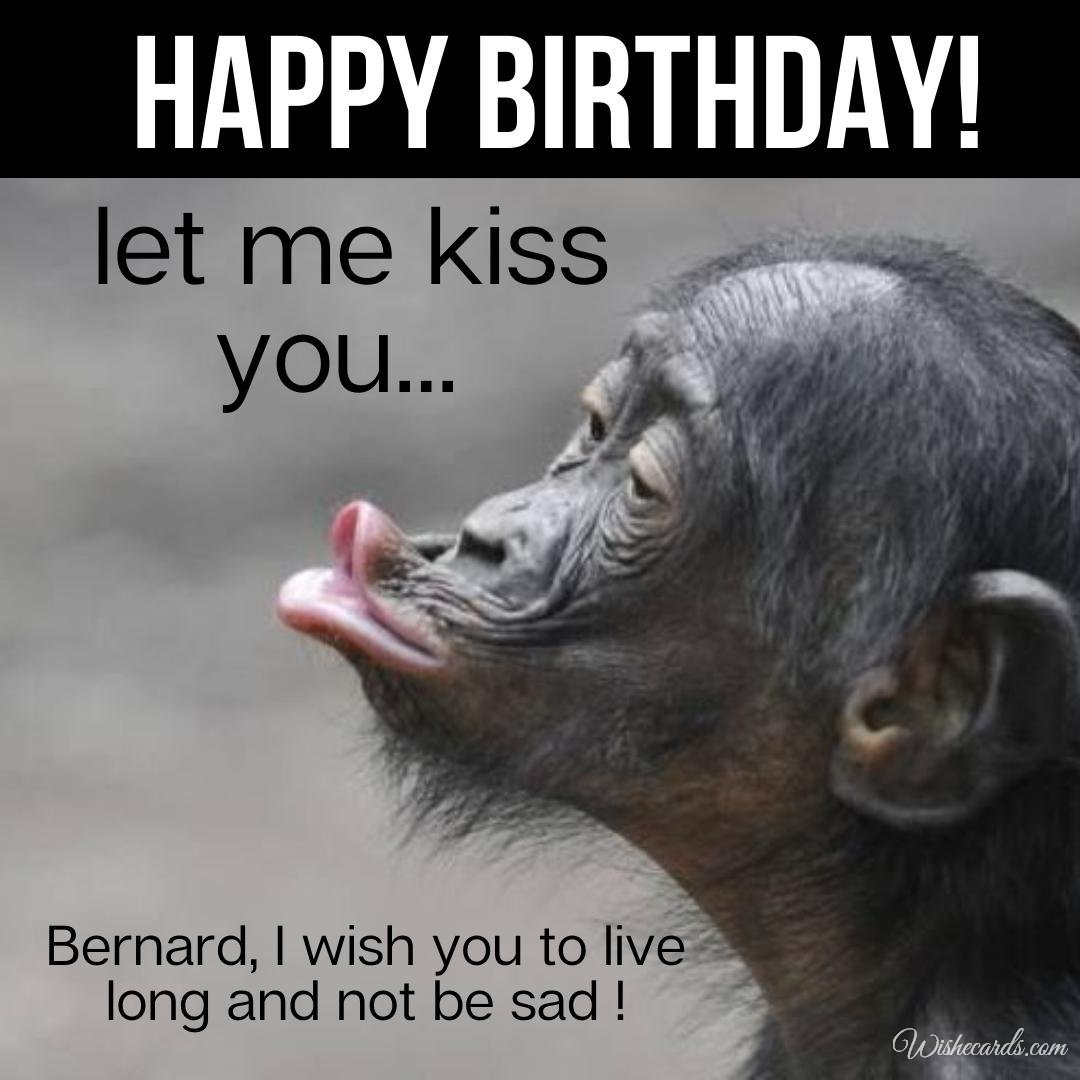 Funny Birthday Ecard for Bernard