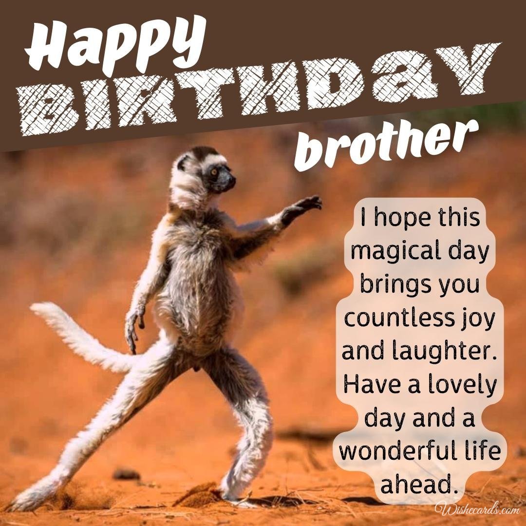 Funny Birthday Ecard for Brother