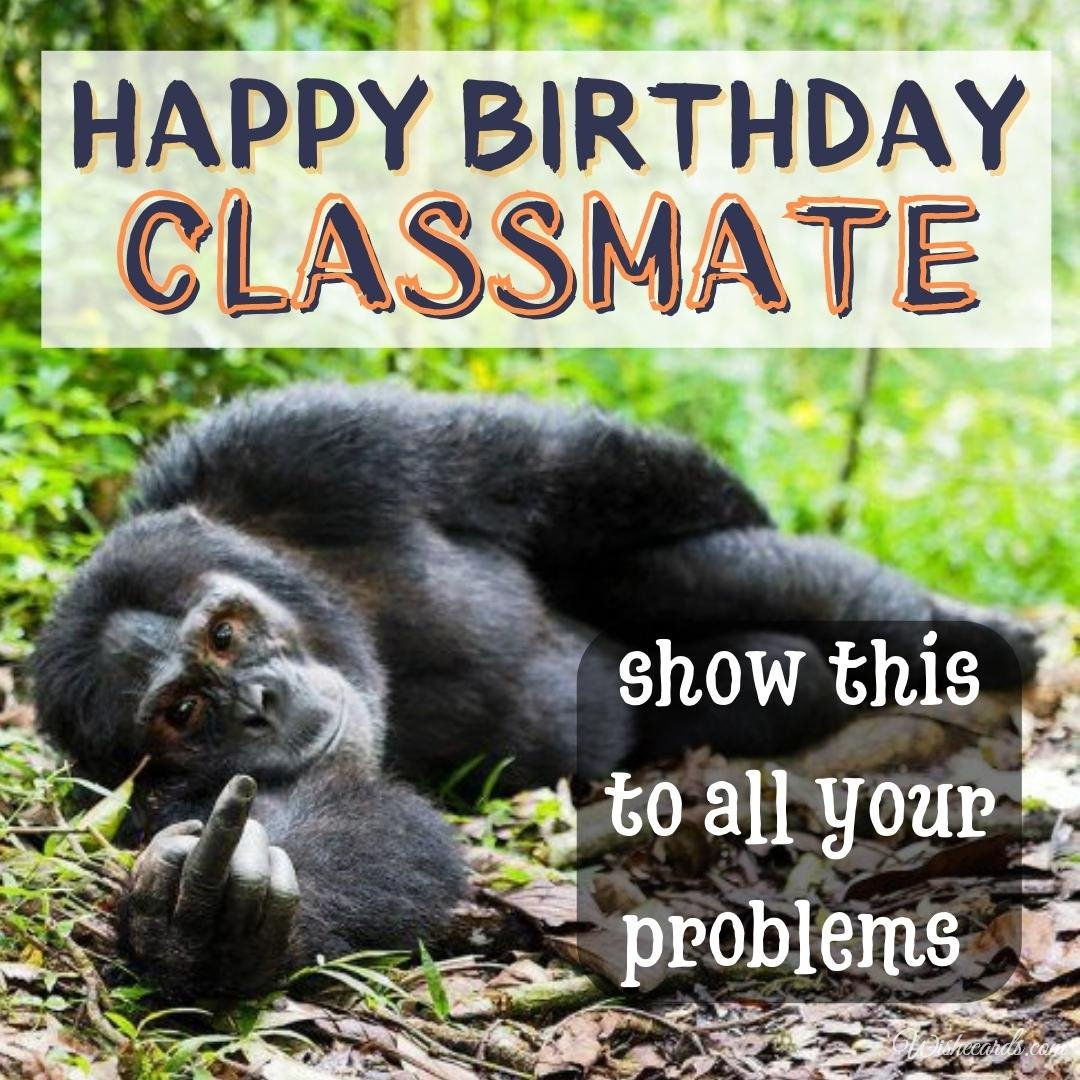 Funny Birthday Ecard for Classmate