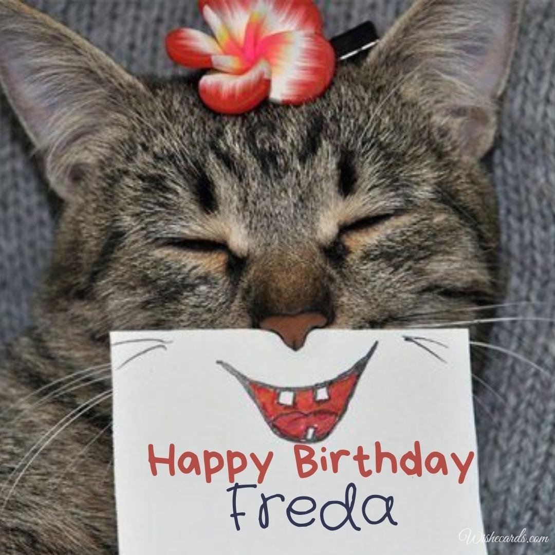 Funny Birthday Ecard For Freda