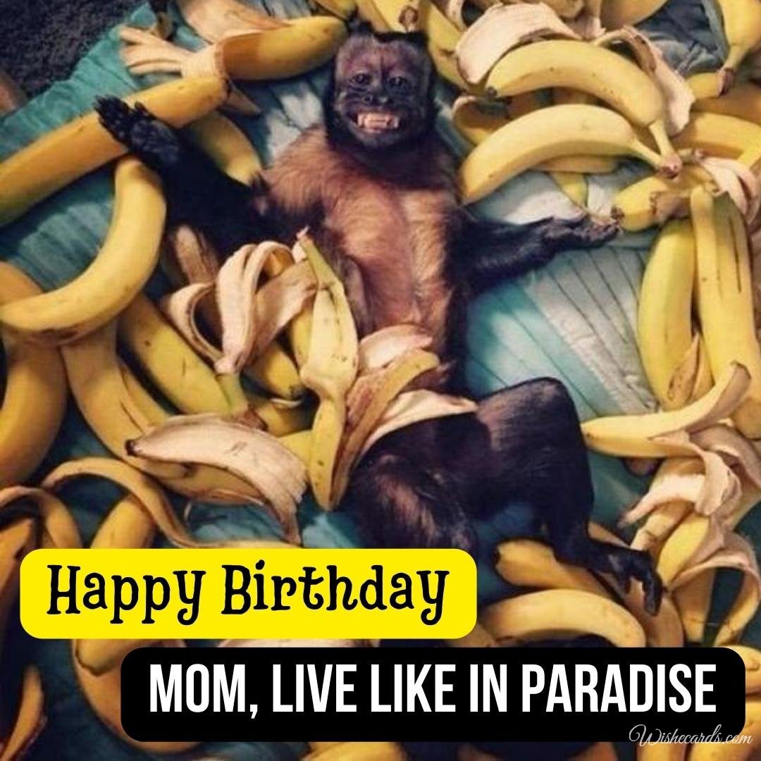 Funny Birthday Ecard For Mother