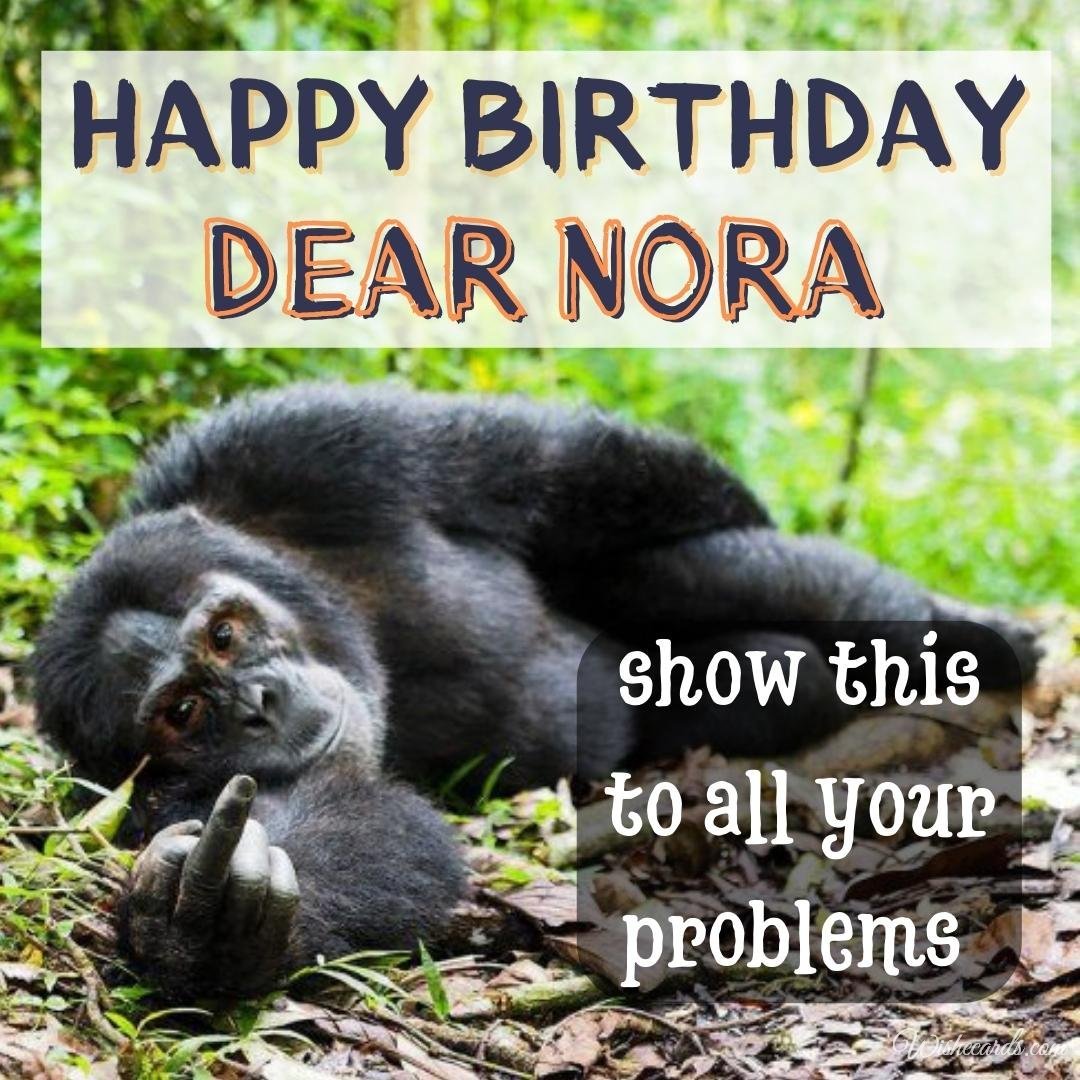 Funny Birthday Ecard For Nora
