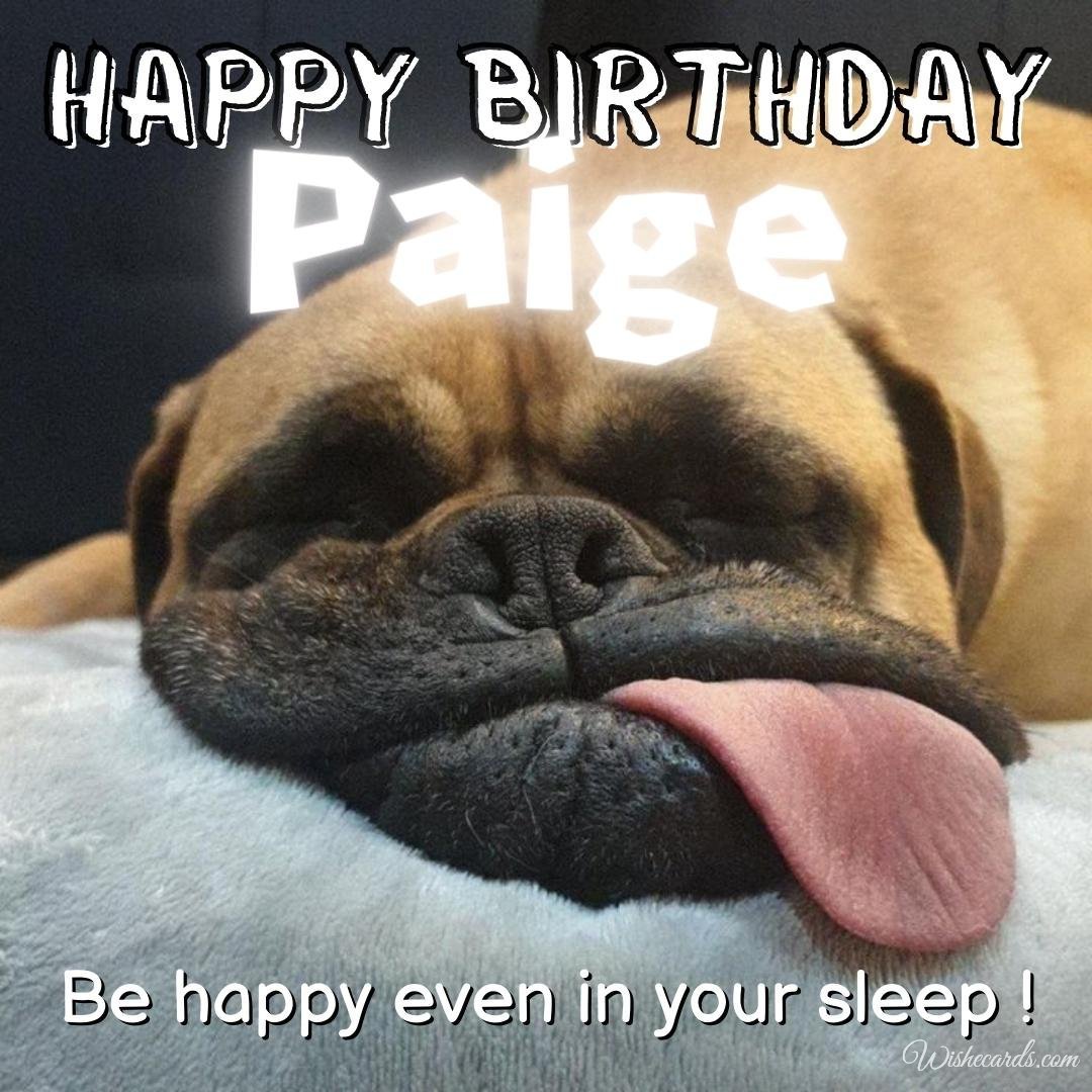 Funny Birthday Ecard For Paige
