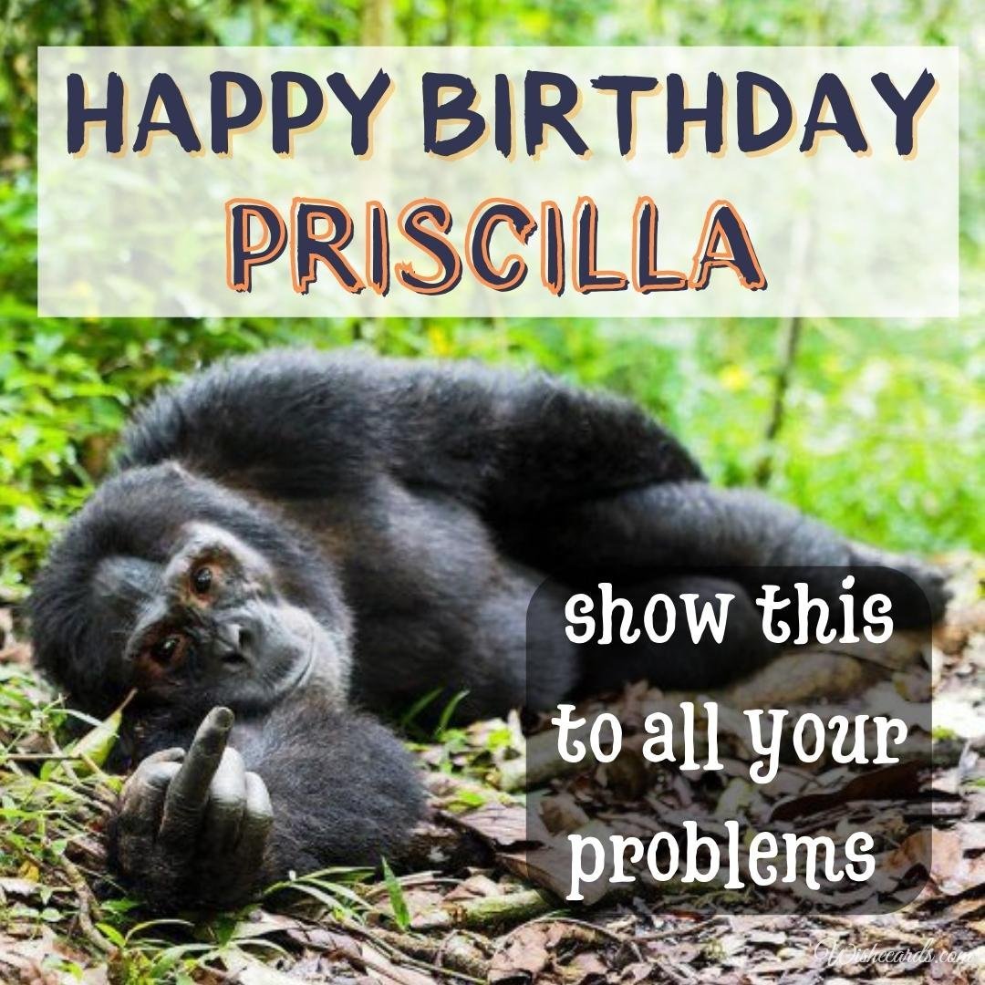 Funny Birthday Ecard For Priscilla