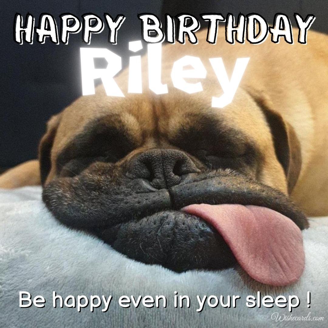 Funny Birthday Ecard For Riley