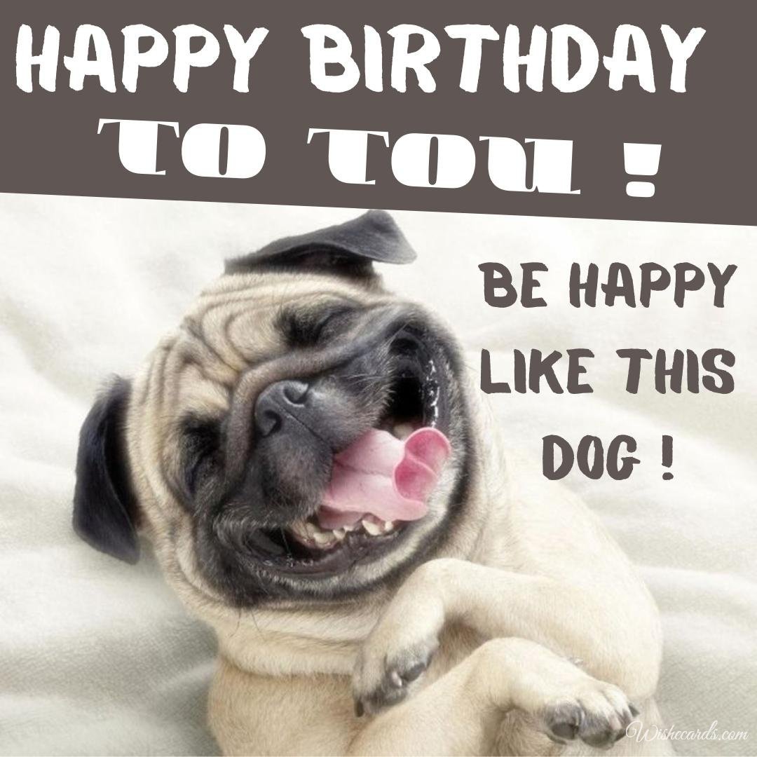 Funny Birthday Ecard With Pets