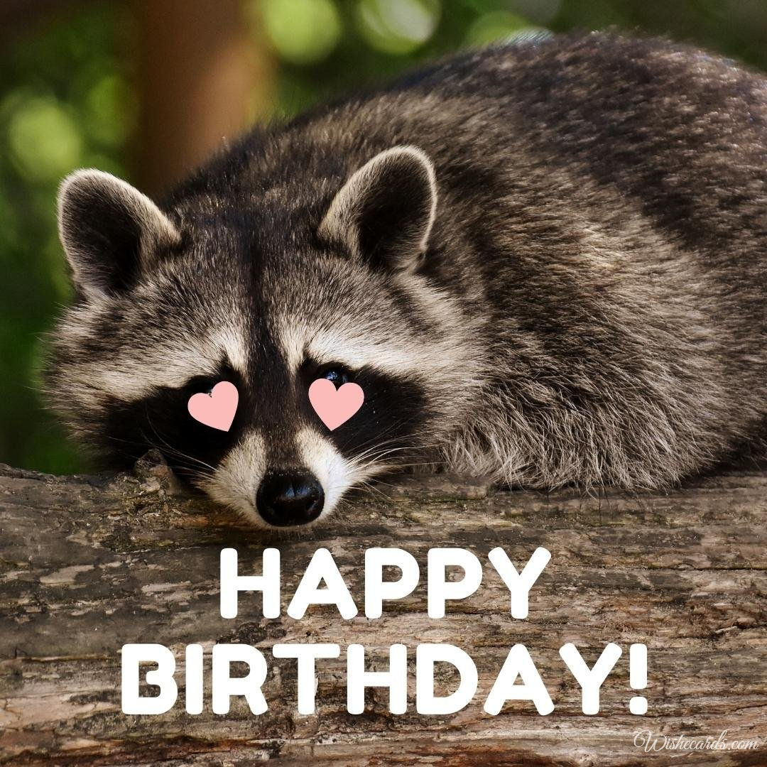 Funny Birthday Ecard with Raccoon