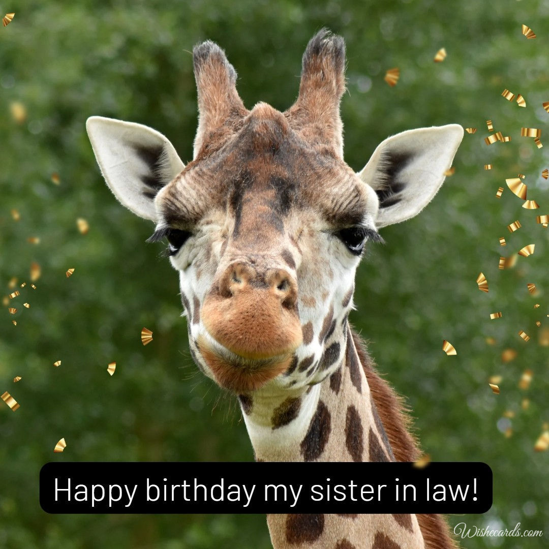 Funny Birthday Wish for Sister in Law Image