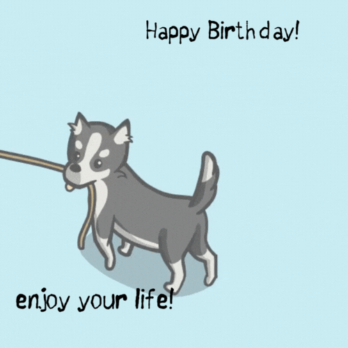 Funny Dog Birthday Greeting