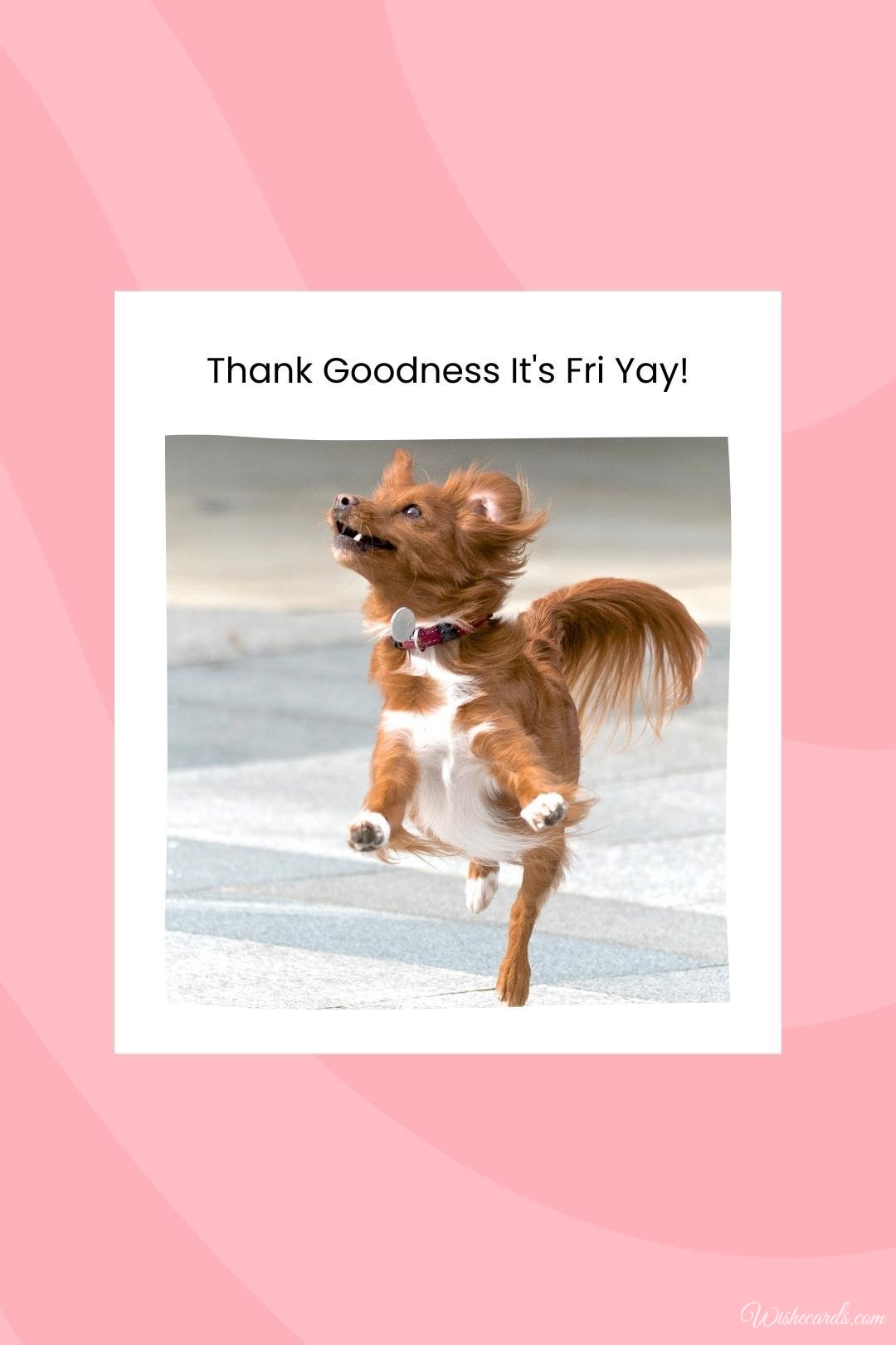 Funny Friday Card with Dog