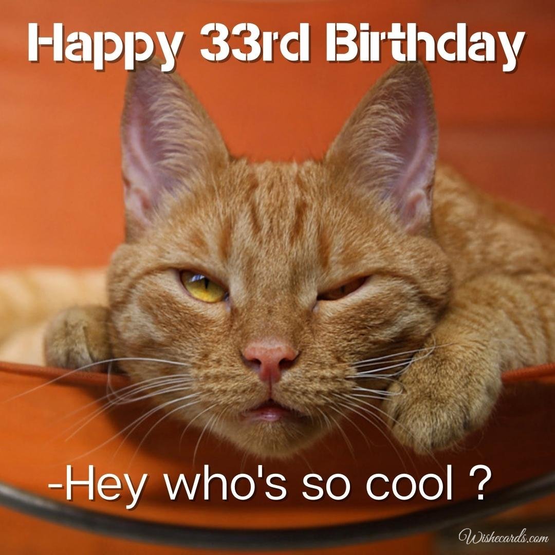 Funny Happy 33rd Birthday Wish Ecard