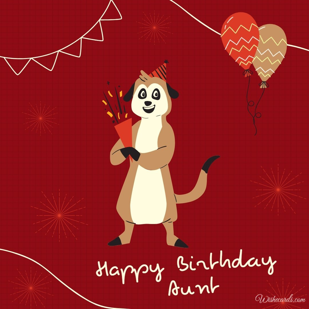 Funny Happy Birthday Card for Aunt