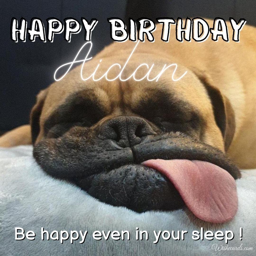 Funny Happy Birthday Ecard for Aidan
