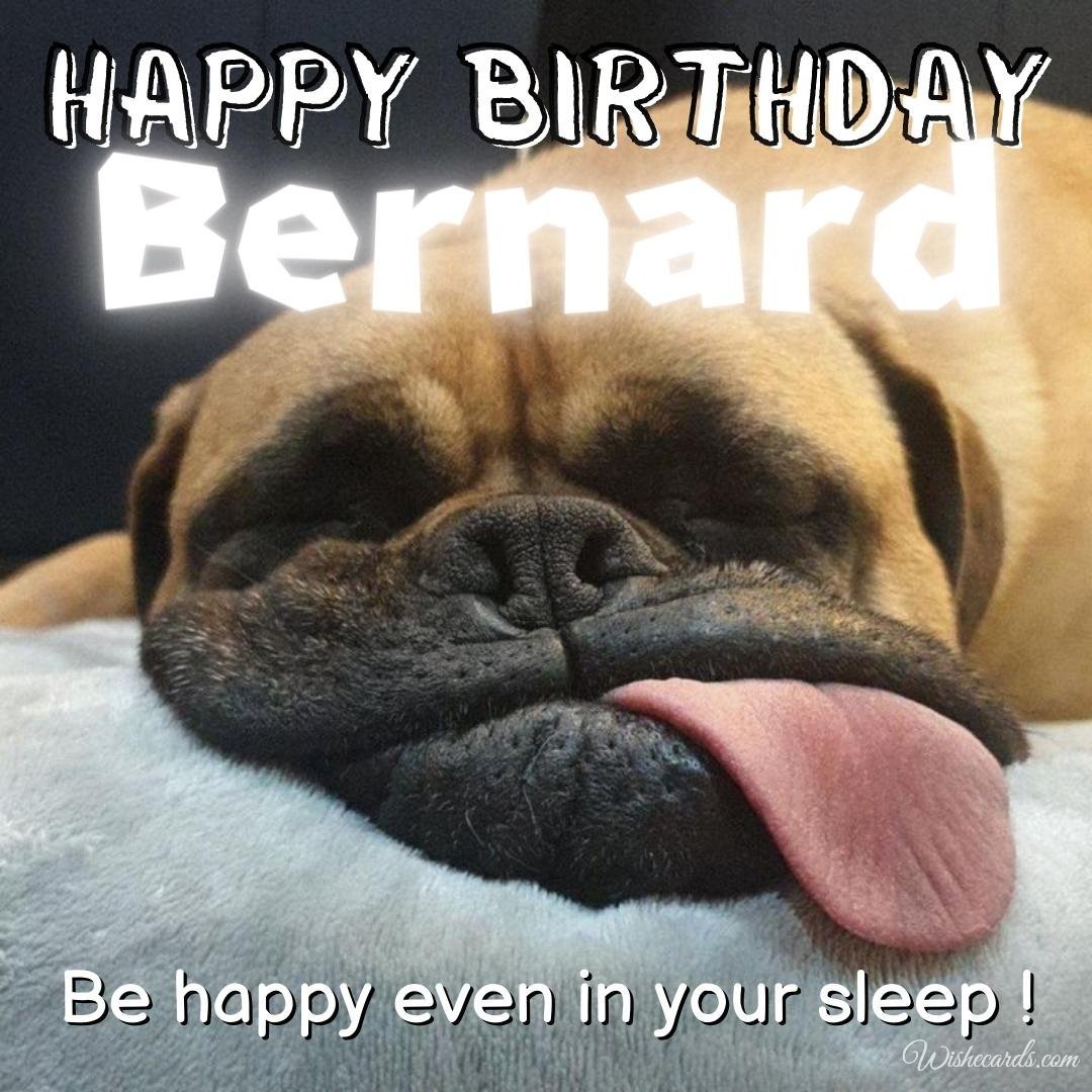 Funny Happy Birthday Ecard for Bernard
