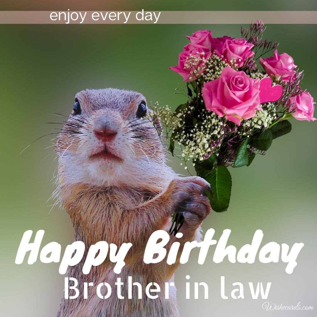 Funny Happy Birthday Ecard For Brother In Law