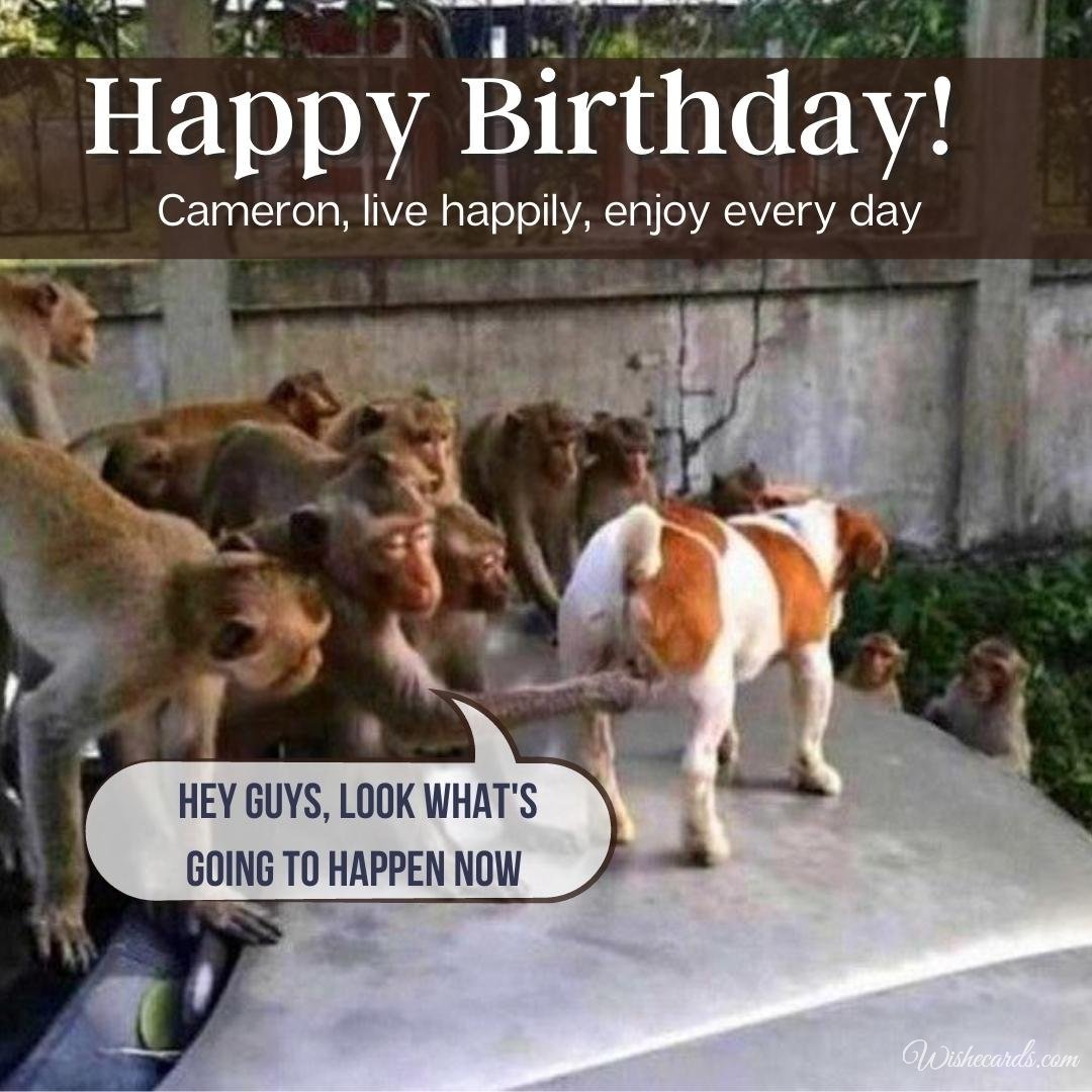 Funny Happy Birthday Ecard For Cameron