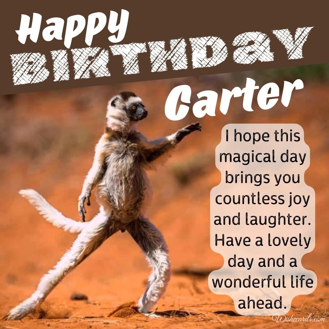 Funny Happy Birthday Ecard For Carter