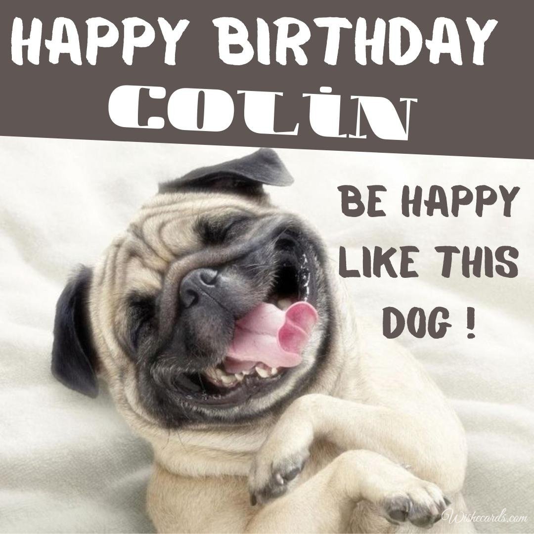 Funny Happy Birthday Ecard for Colin
