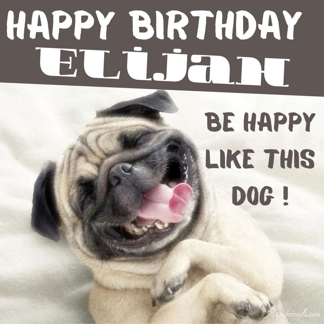 Funny Happy Birthday Ecard For Elijah