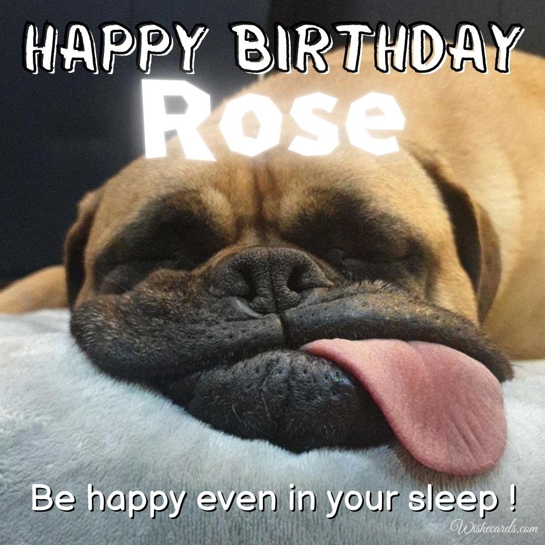 Funny Happy Birthday Ecard For Rose