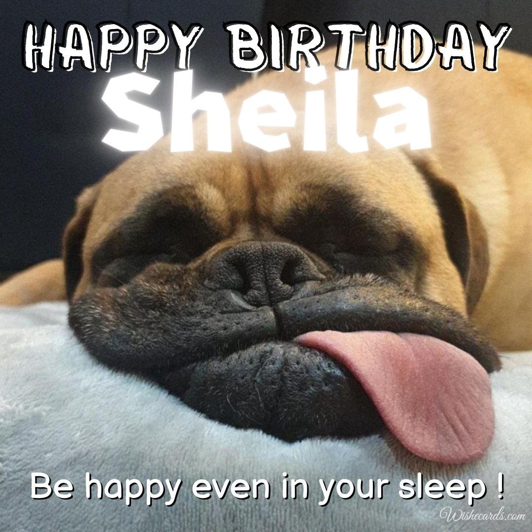 Funny Happy Birthday Ecard For Sheila