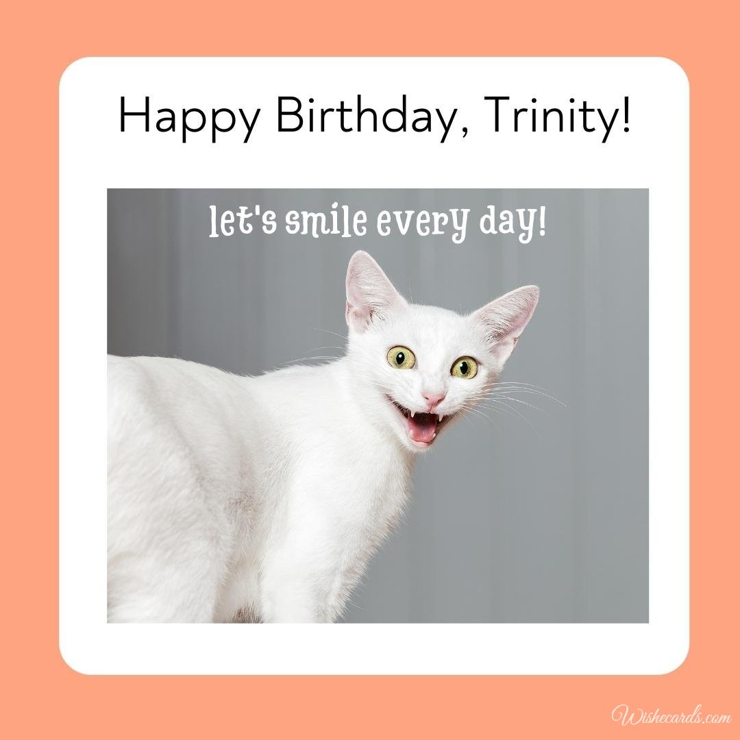 Funny Happy Birthday Ecard For Trinity