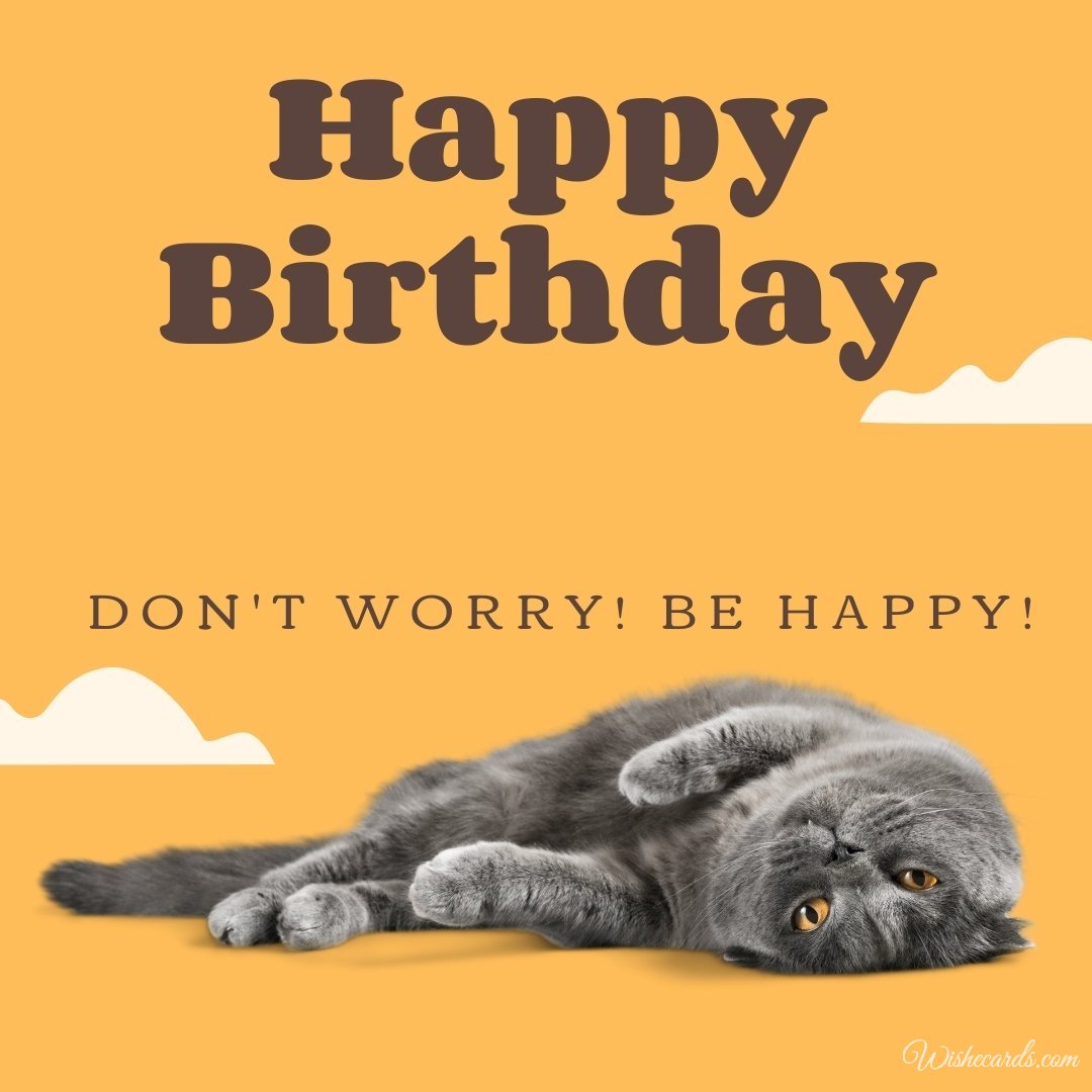 Funny Happy Birthday Ecard with Cats