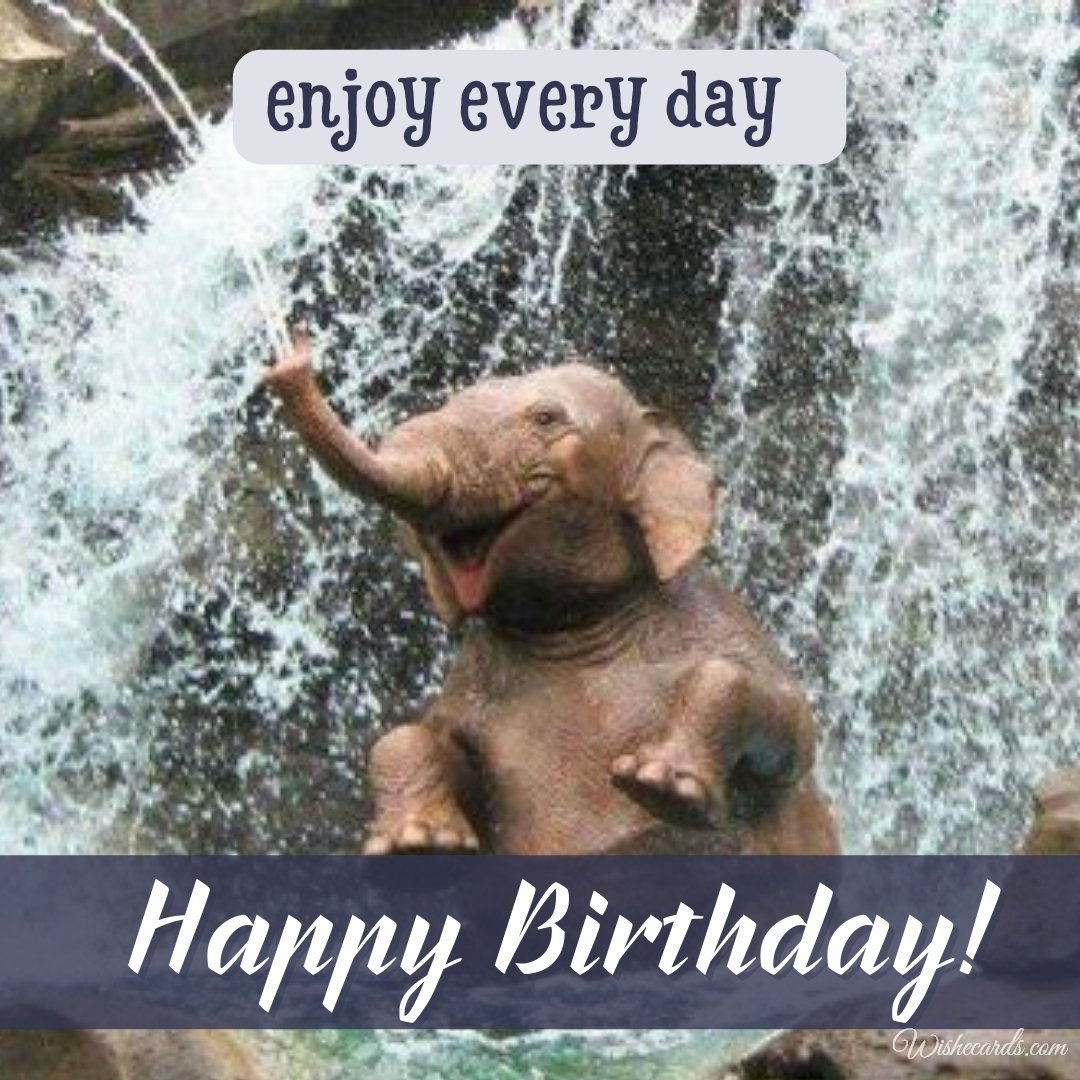 Funny Happy Birthday Ecard with Elephant