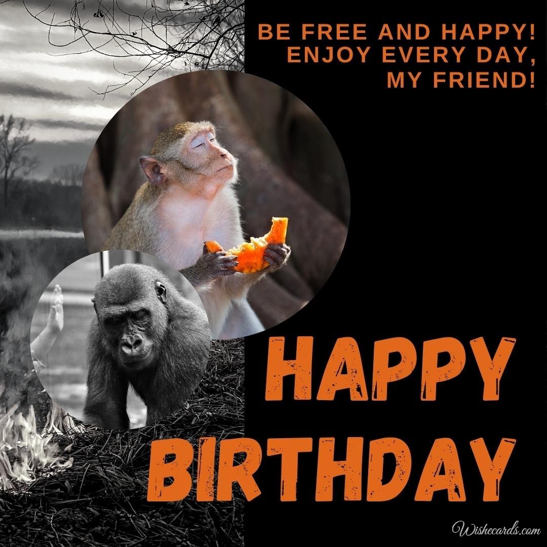Funny Happy Birthday Ecard with Monkey