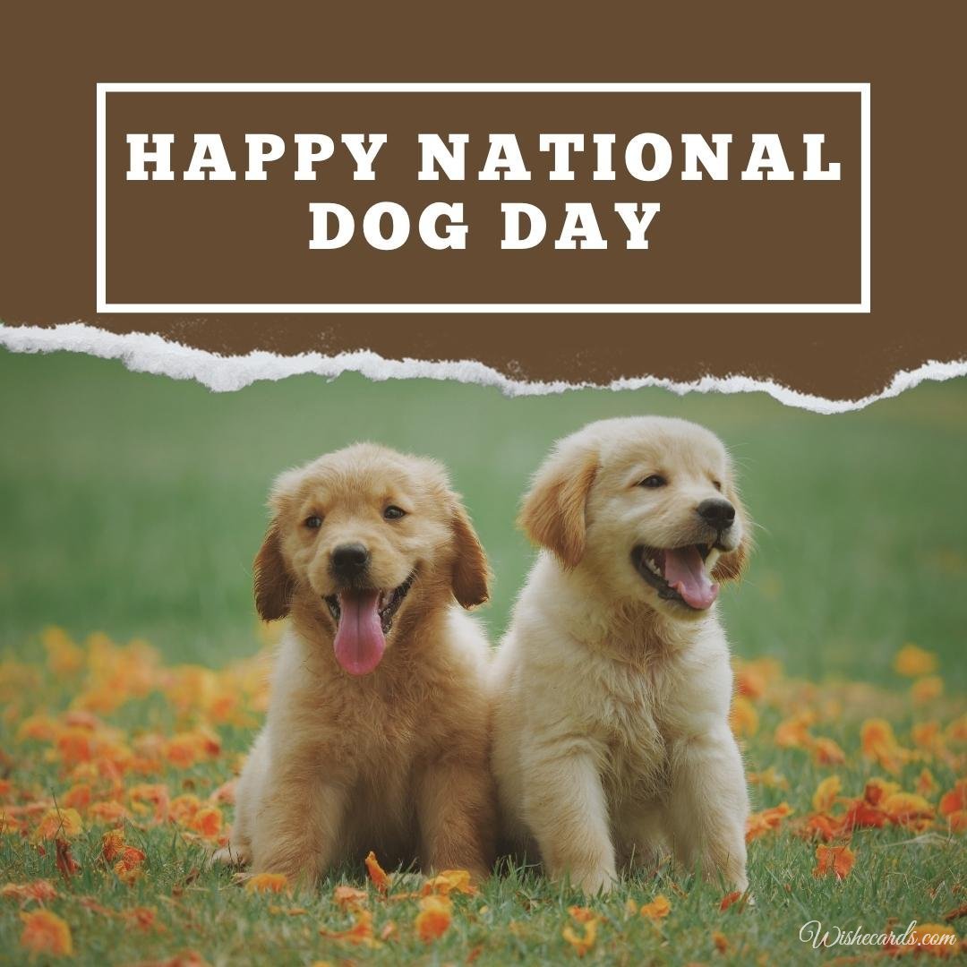 Funny National Dog Day Ecard
