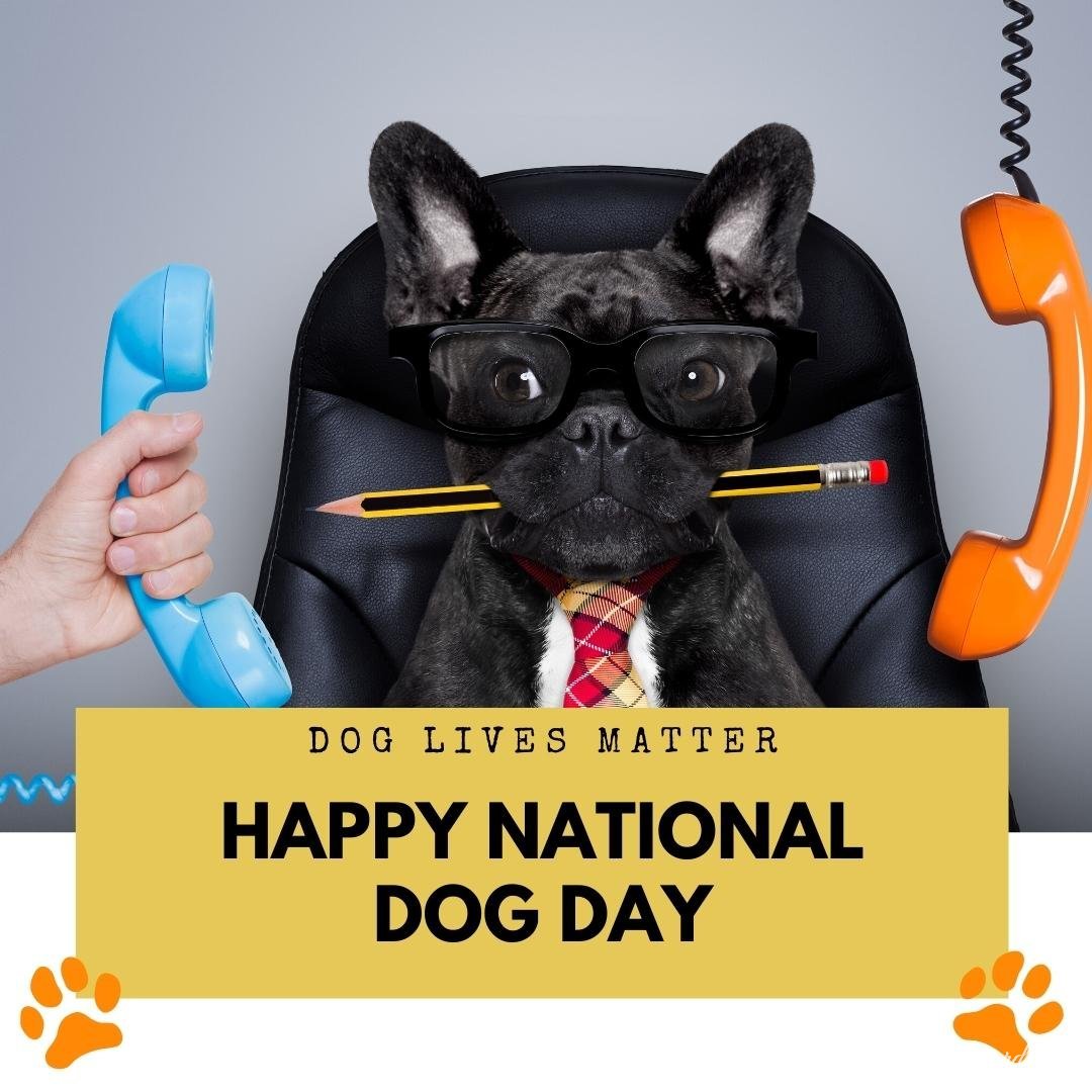Funny National Dog Day Image With Text