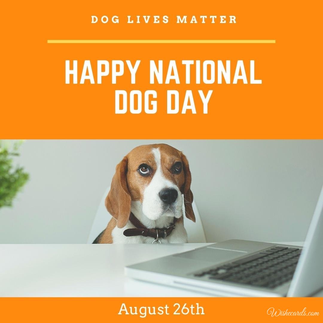 Funny National Dog Day Image